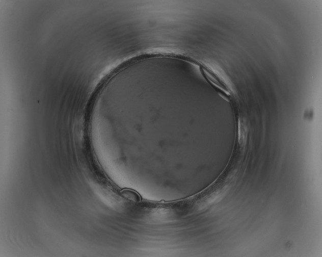 X0000091920204200709261649