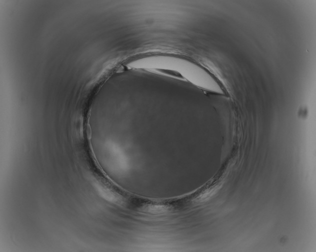 X0000091920205200709261649