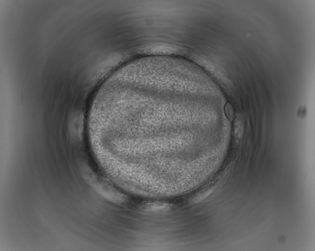 X0000091920206200709261649