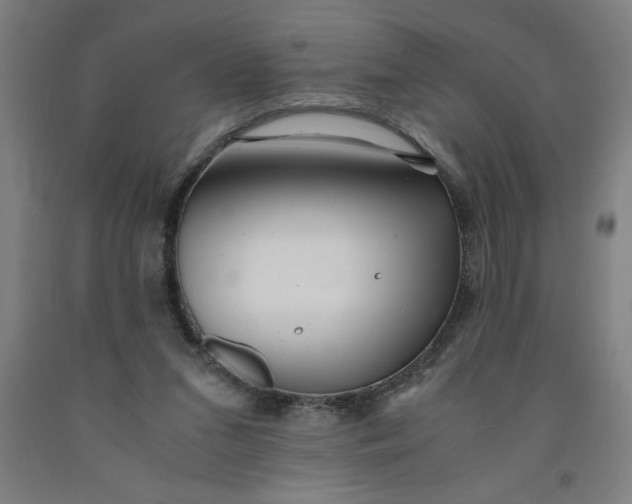 X0000091920207200709261649