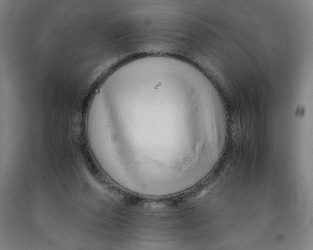 X0000091920208200709261649