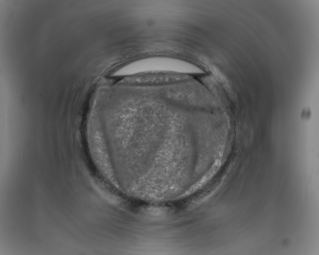 X0000091920209200709261649