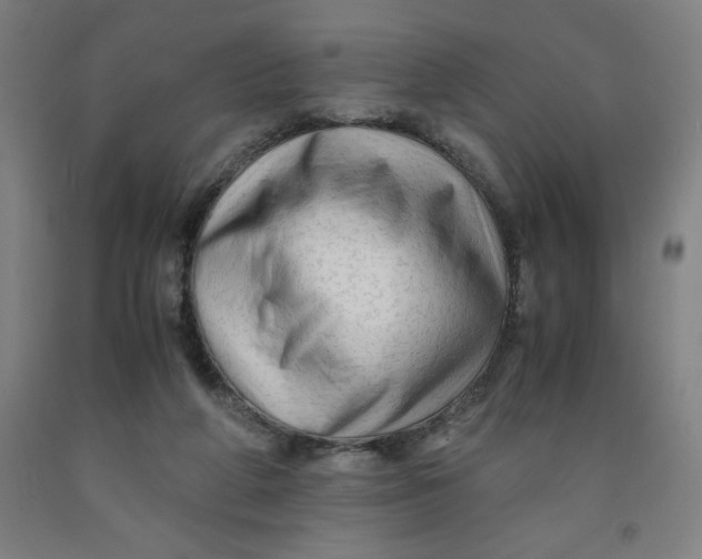 X0000091920210200709261649