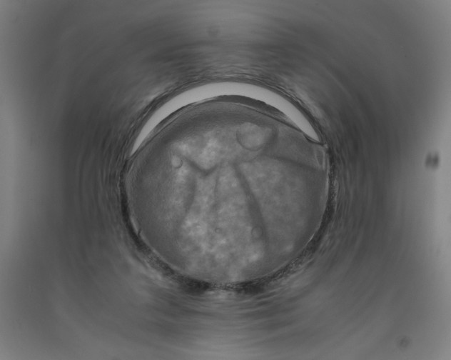 X0000091920211200709261649