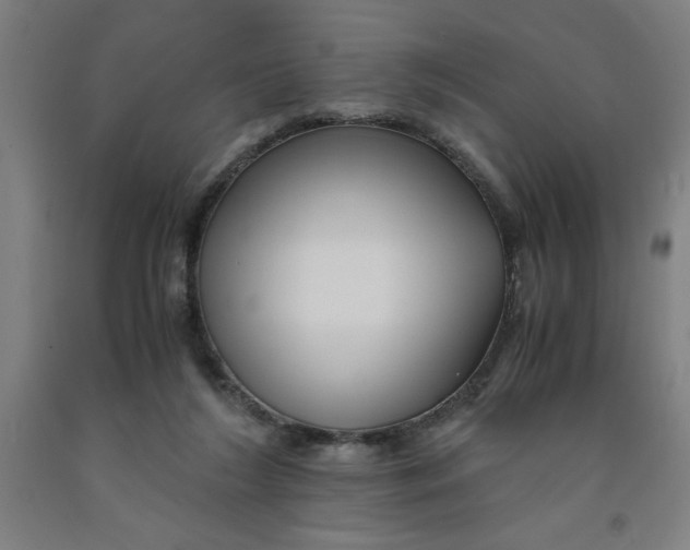 X0000091920212200709261649