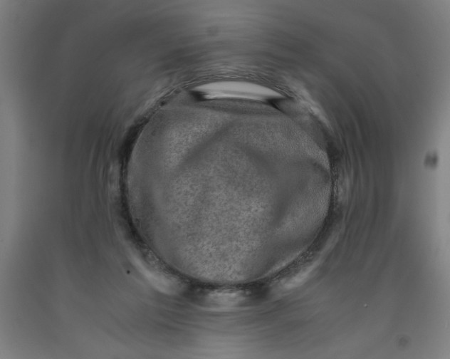 X0000091920213200709261649