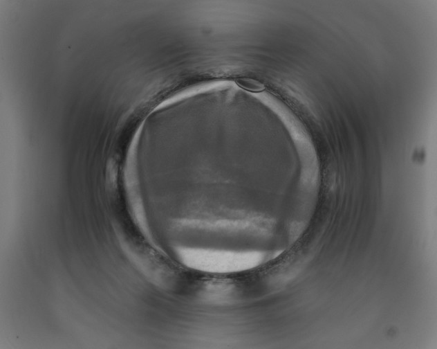 X0000091920214200709261649