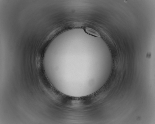 X0000091920216200709261649