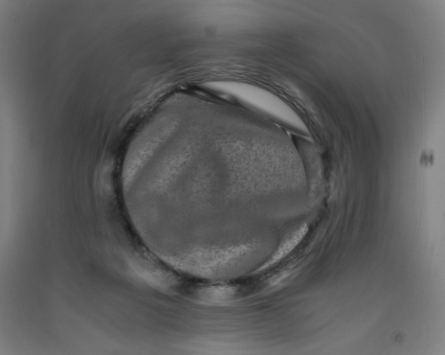 X0000091920217200709261649