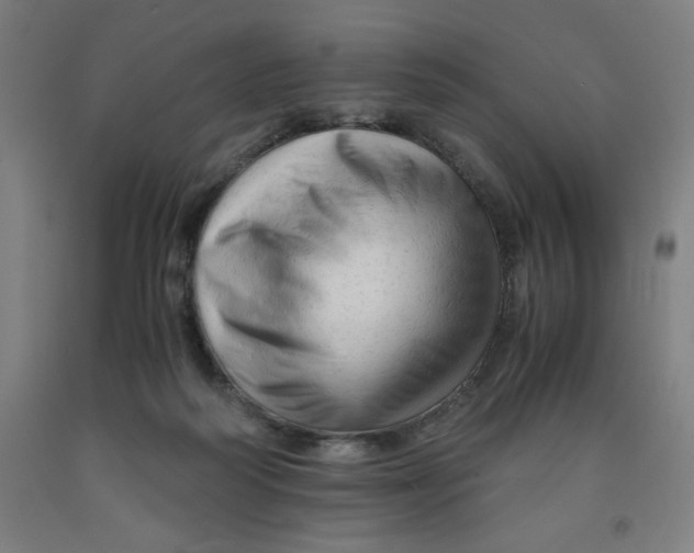 X0000091920218200709261649