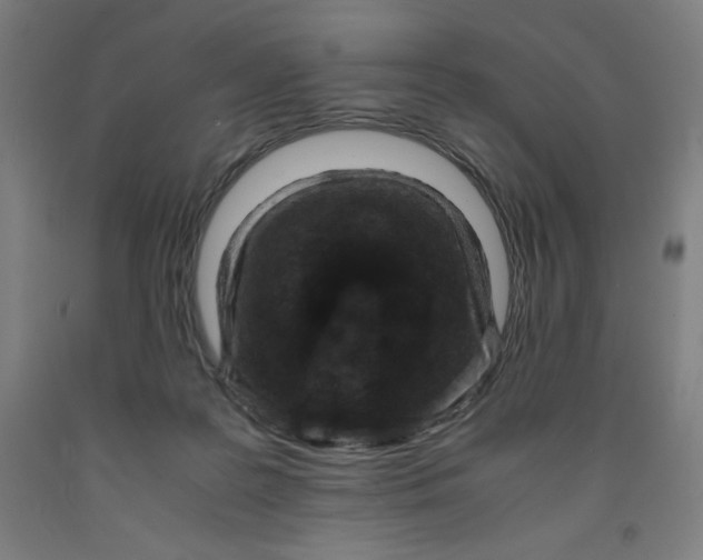 X0000091920219200709261649