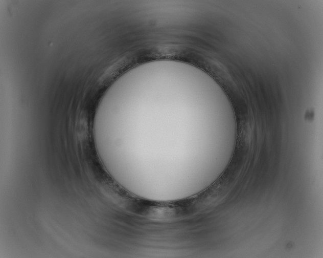 X0000091920220200709261649