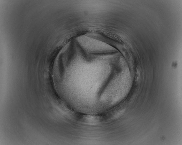 X0000091920221200709261649