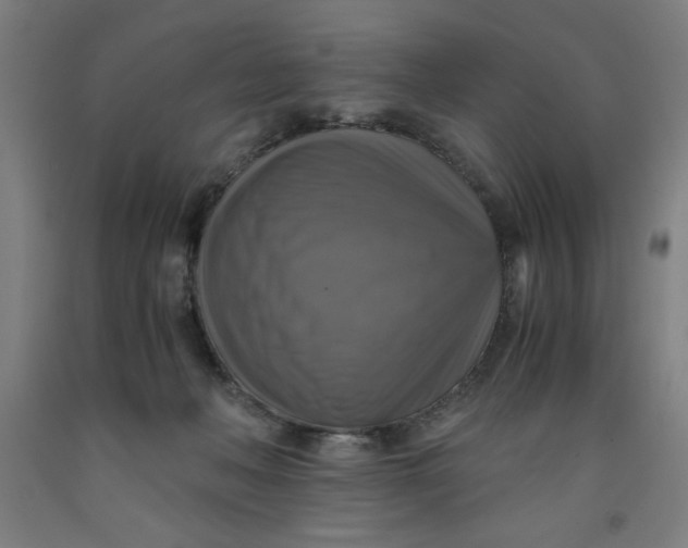 X0000091920222200709261649