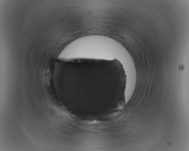 X0000091920223200709261649