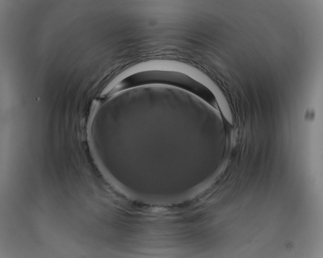 X0000091920224200709261649