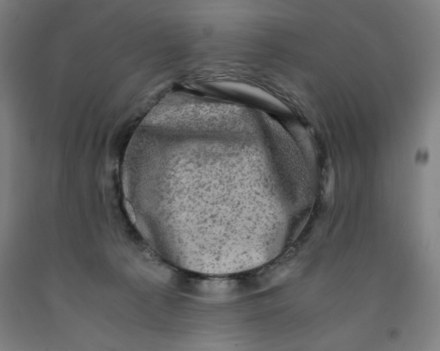 X0000091920225200709261649