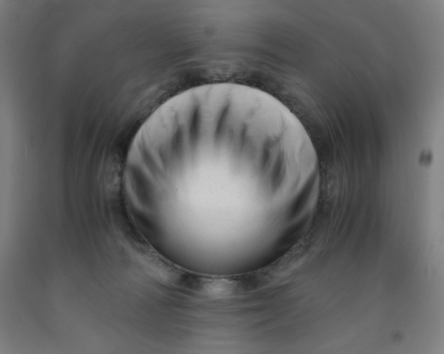 X0000091920226200709261649