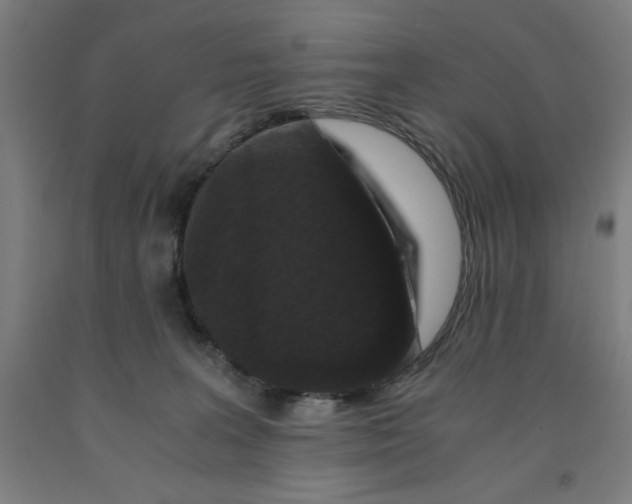 X0000091920227200709261649