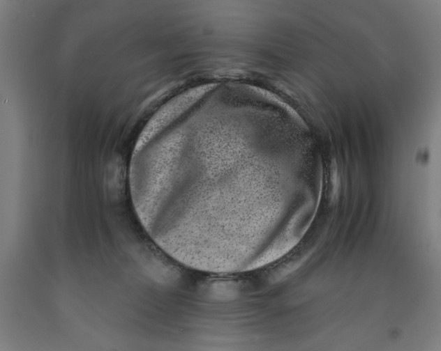 X0000091920228200709261649