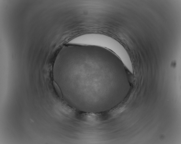 X0000091920229200709261649