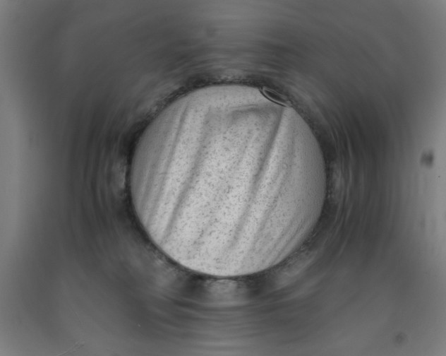 X0000091920230200709261649