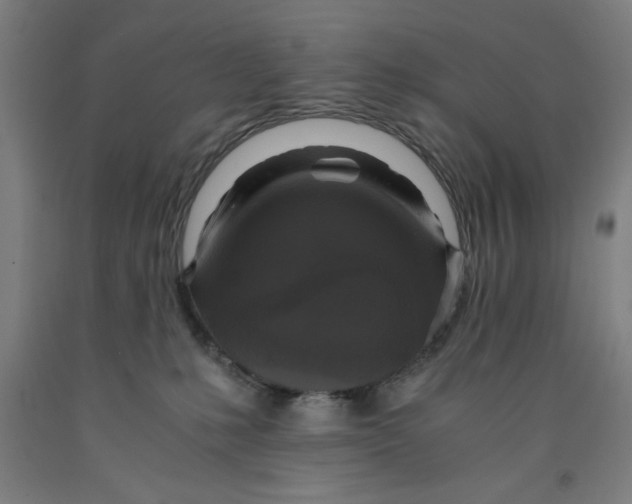 X0000091920231200709261649