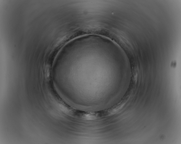 X0000091920232200709261649