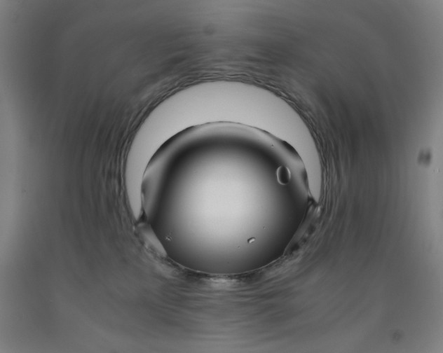 X0000091920233200709261649