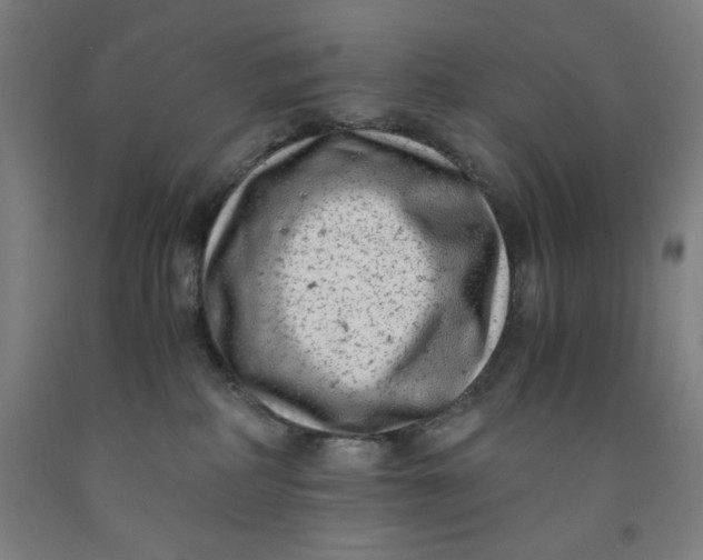 X0000091920234200709261649