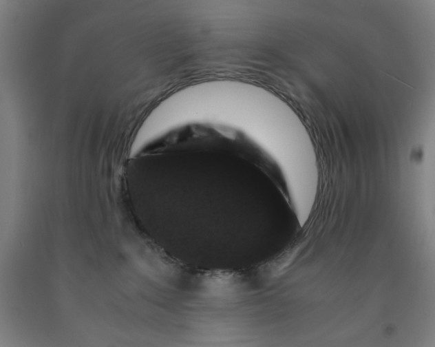 X0000091920235200709261649