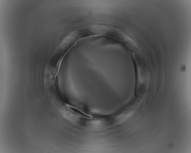 X0000091920237200709261649