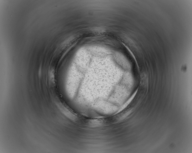 X0000091920238200709261649