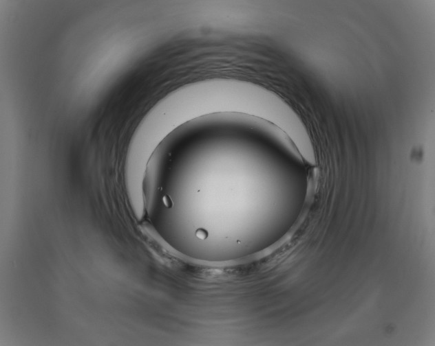 X0000091920239200709261649