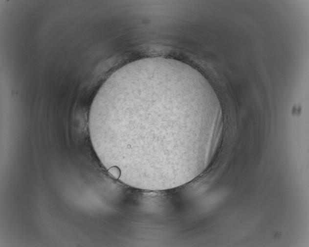 X0000091920240200709261649