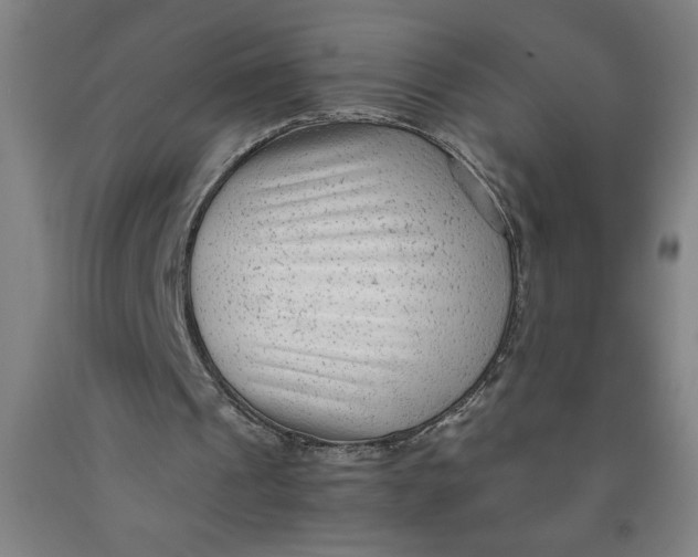 X0000091920241200709261648