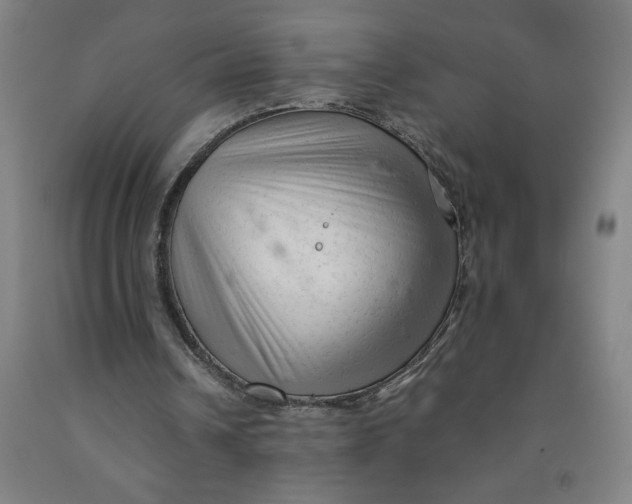 X0000091920242200709261648