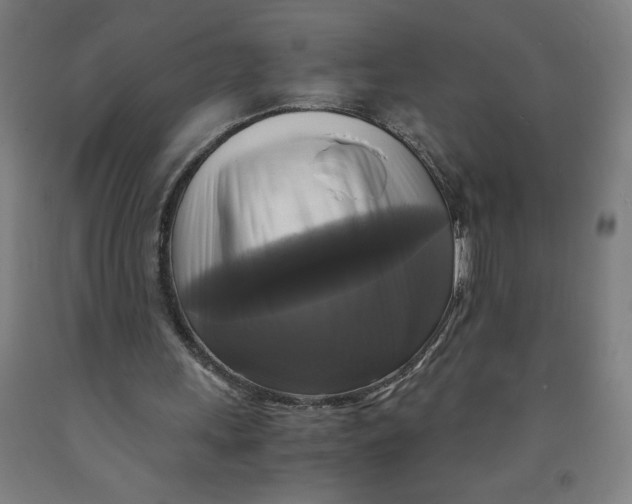 X0000091920243200709261648