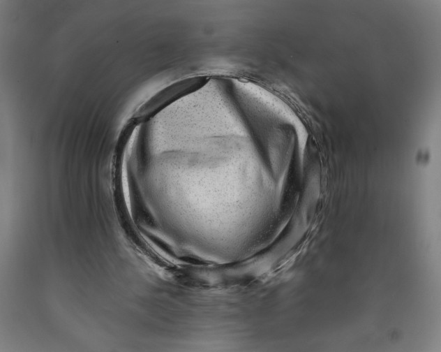 X0000091920244200709261648