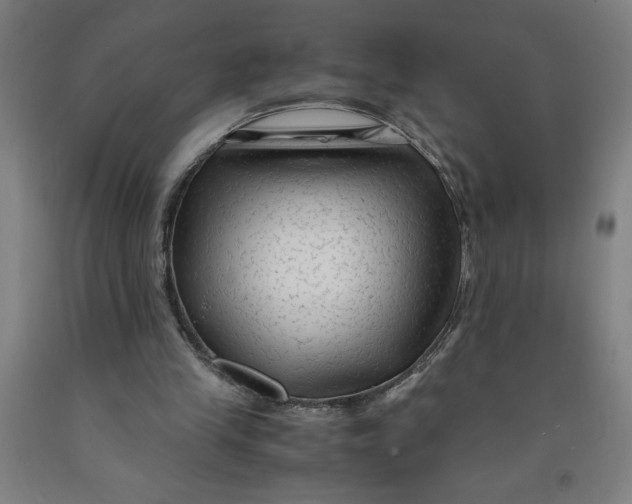 X0000091920245200709261648