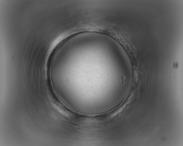 X0000091920246200709261648