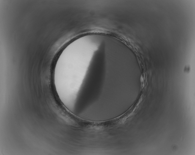 X0000091920247200709261648