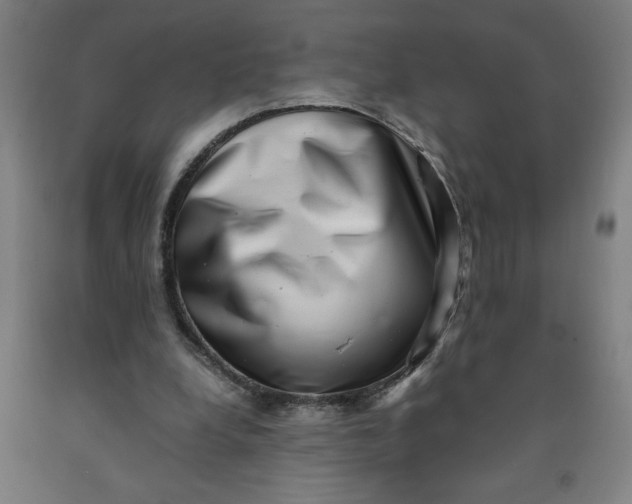 X0000091920248200709261648