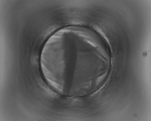 X0000091920249200709261648