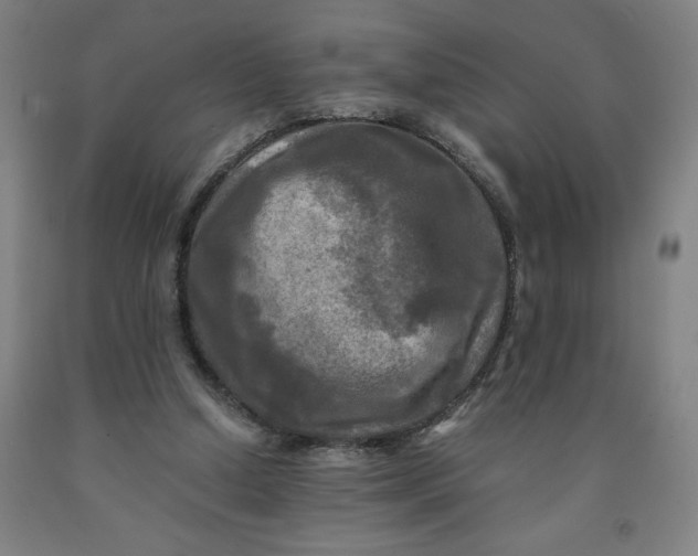 X0000091920250200709261648