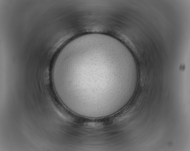 X0000091920251200709261648