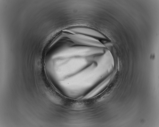 X0000091920252200709261648