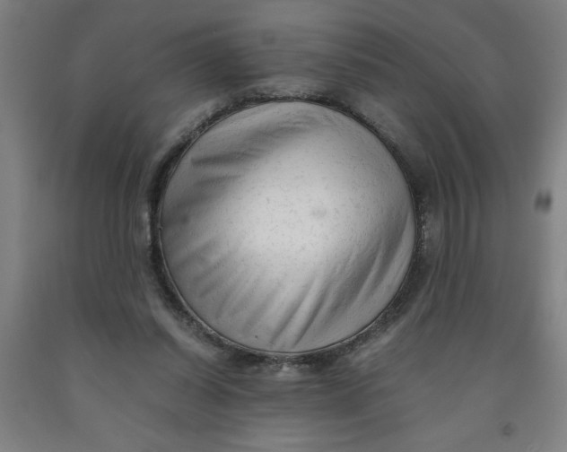 X0000091920254200709261649