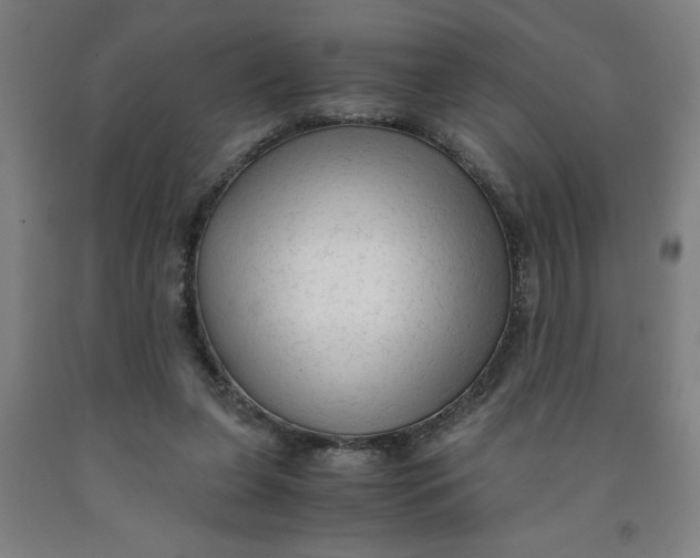 X0000091920255200709261649