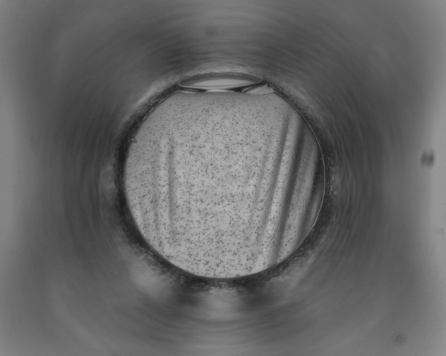 X0000091920256200709261649